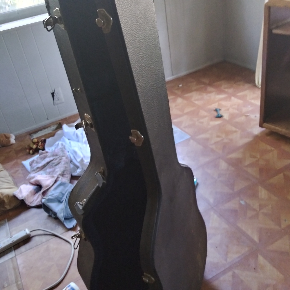 Guitar case